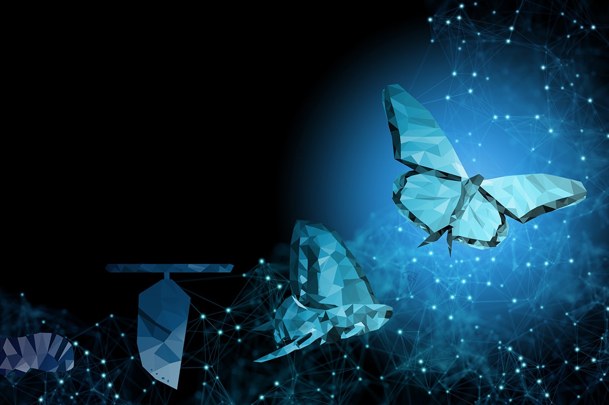 The value of data and its life cycle in organizations