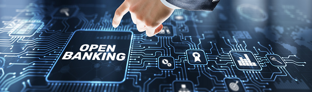 Gestión de Datos en el Ecosistema Fintech y Open Banking en Latam